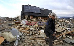 Trzęsienie ziemi i tsunami w Japonii