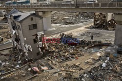 Trzęsienie ziemi i tsunami w Japonii