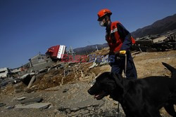 Trzęsienie ziemi i tsunami w Japonii