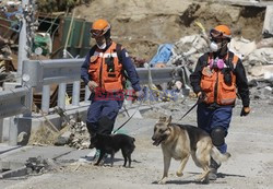 Trzęsienie ziemi i tsunami w Japonii