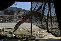 Trzęsienie ziemi i tsunami w Japonii