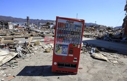 Trzęsienie ziemi i tsunami w Japonii