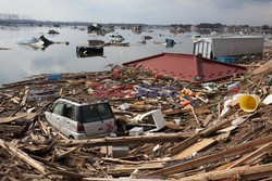 Trzęsienie ziemi i tsunami w Japonii