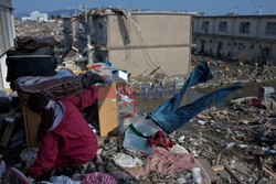 Trzęsienie ziemi i tsunami w Japonii