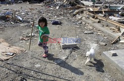 Trzęsienie ziemi i tsunami w Japonii