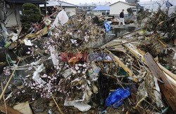 Trzęsienie ziemi i tsunami w Japonii