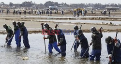 Trzęsienie ziemi i tsunami w Japonii