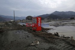 Trzęsienie ziemi i tsunami w Japonii