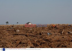 Trzęsienie ziemi i tsunami w Japonii