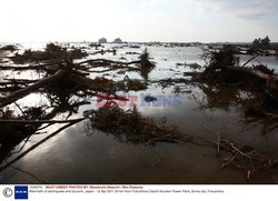 Trzęsienie ziemi i tsunami w Japonii