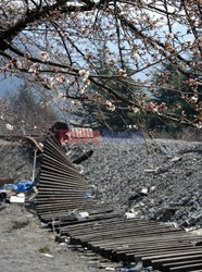 Trzęsienie ziemi i tsunami w Japonii