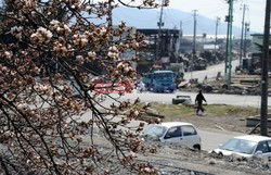 Trzęsienie ziemi i tsunami w Japonii