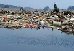 Trzęsienie ziemi i tsunami w Japonii