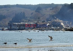 Trzęsienie ziemi i tsunami w Japonii