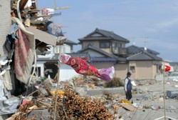 Trzęsienie ziemi i tsunami w Japonii