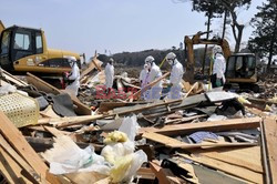 Trzęsienie ziemi i tsunami w Japonii