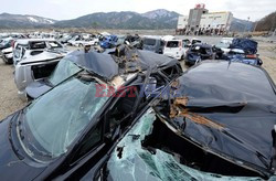 Trzęsienie ziemi i tsunami w Japonii