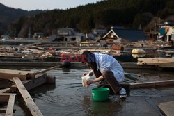 Trzęsienie ziemi i tsunami w Japonii