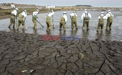 Trzęsienie ziemi i tsunami w Japonii