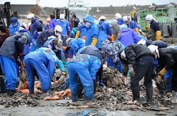 Trzęsienie ziemi i tsunami w Japonii