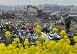 Trzęsienie ziemi i tsunami w Japonii