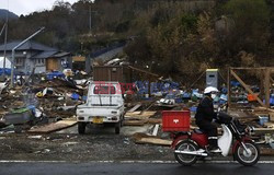 Trzęsienie ziemi i tsunami w Japonii