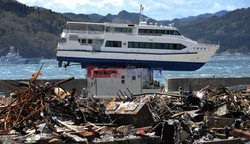 Trzęsienie ziemi i tsunami w Japonii