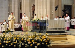 Pope Benedict XVI in Spain