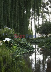 Mediterranean style garden - House and Leisure