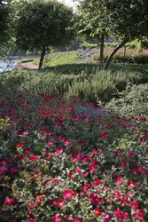 Mediterranean style garden - House and Leisure