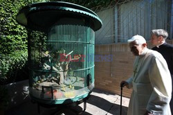 Pope Benedict XVI in Mexico