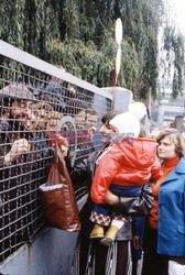 Strajki i demonstracje Solidarności