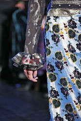 Anna Sui details