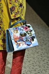 Dolce Gabbana Details1