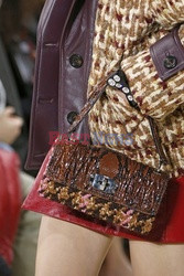 Miu Miu details