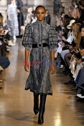 Andrew GN LB