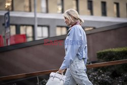 Alberta Ferretti Street Style