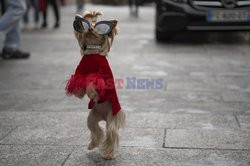 Andrew Gn Street Style