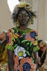 Ashish Details