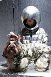 Moncler 9 dogs