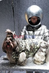 Moncler 9 dogs