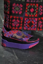 Anna Sui details