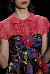 Anna Sui details