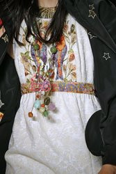 Anna Sui details