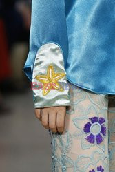 Anna Sui details