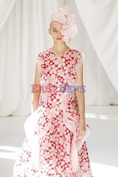 Delpozo